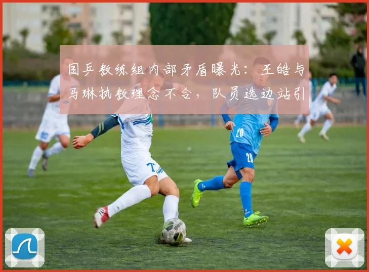 国乒教练组内部矛盾曝光:王皓与马琳执教理念不合,队员选边站引担忧